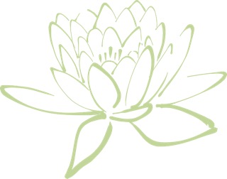 lotus-blossom-304875_640 Kopie